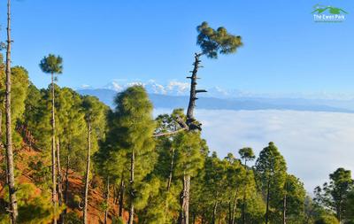 Image of 240 Sq.ft Residential Plot / Land for sale in Majkhali, Ranikhet for Rs. 3960000
