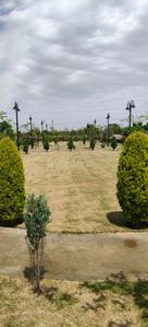 Image of 1200 Sq.ft Residential Plot / Land for sale in Pholriwal, Jalandhar for Rs. 3800000