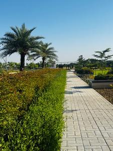 Image of 500 Sq.ft Residential Plot / Land for sale in Manohar The Palm Residency, New Chandigarh, Chandigarh for Rs. 50000000
