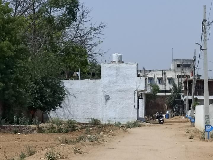 Royal green society Main Image 1