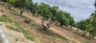 Image of 5990 Sq.ft Residential Plot / Land for sale in Narsapura, Kolar for Rs. 3594000