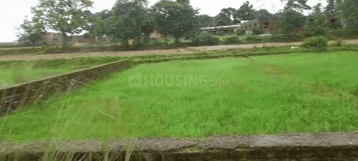 Daladili Main Image 1