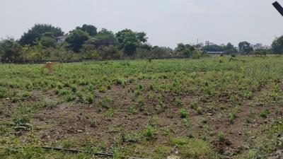 Image of 11000 Sq.ft Residential Plot / Land for sale in Wagholi, Pune for Rs. 27500000