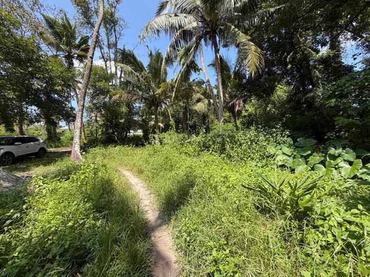 Keralarealty Main Image 1