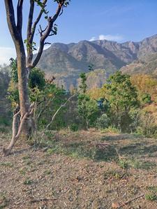 Dwara Hills Plot View 2