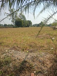 Residential Plot