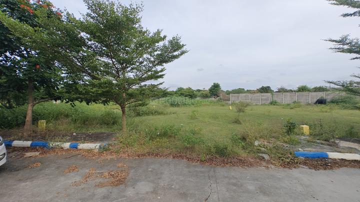 TMR Urban Meadows Main Image 1