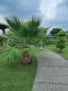 Image of 800 Sq.ft Residential Plot / Land for sale in Mamta Golden Valley, Balya Kheda, Indore for Rs. 4400000