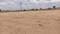 Sulur Main Image 1