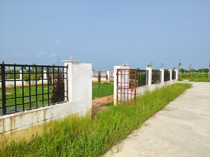 Jamwasi Main Image 1