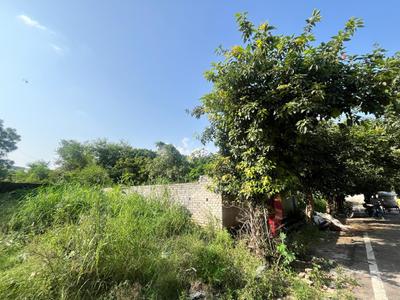 Pocket 8 Plot View 1