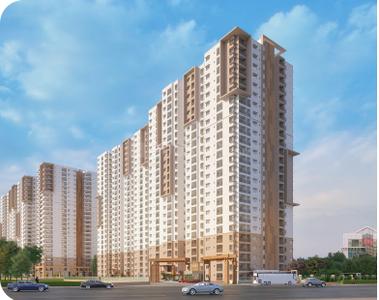 3 BHK Flat