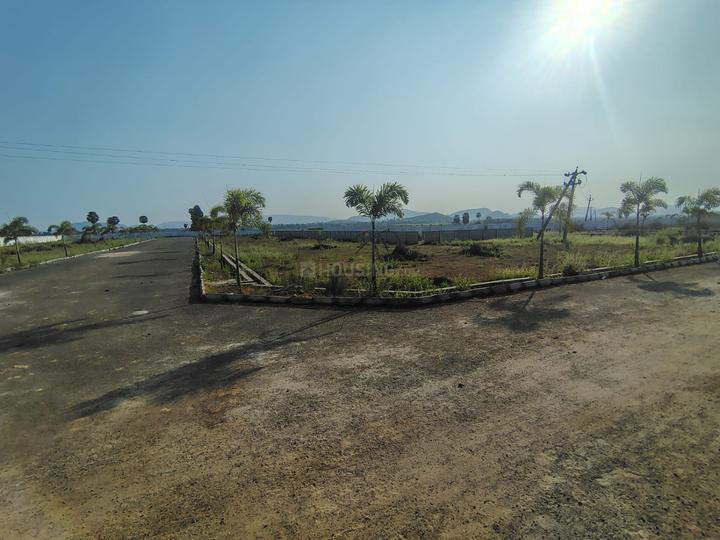 Tallavalasa Main Image 1