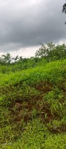 Image of 4564 Sq.ft Residential Plot / Land for sale in Karjat, Thane for Rs. 3846000