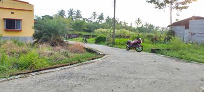 R suppliers and construction  Plot View 2