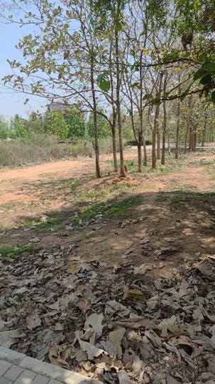 Devanahalli Main Image 1