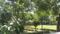Vineet Khand 6 Main Image 1