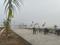 Saimari Main Image 1