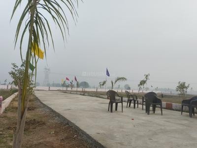 Saimari Plot View 1