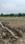 Hatai Kheda Plot View 2