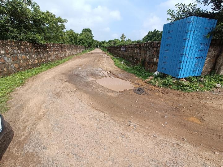 Asola Wild Life Sanctuary Main Image 1