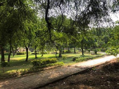 Image of 3000 Sq.ft 3 BHK Independent House for rent in Gomti Nagar, Lucknow for Rs. 120000
