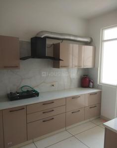 Kitchen Image of 1300 Sq.ft 2 BHK Builder Floor for rent in Alliance Orchids, Nabha Zirakpur for Rs. 18000