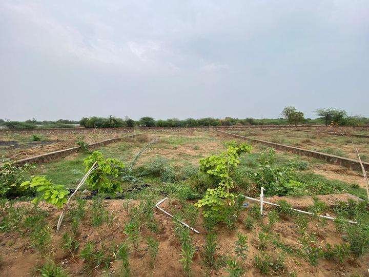 green city Main Image 1