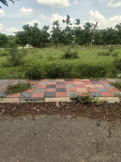 Ravalkole Main Image 1