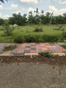 Ravalkole Plot View 1