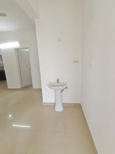 Hall Image of 1209 Sq.ft 2 BHK Apartment / Flat for rent in Whitefield Bengaluru for Rs. 28000
