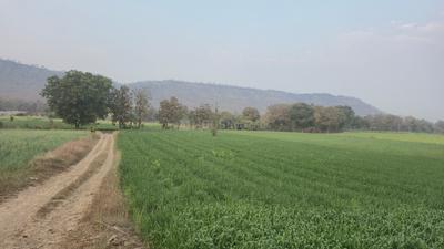 Image of 5000 Sq.ft 1 RK Farm House for sale in Homeland IIT Town Simrol, Simrol, Indore for Rs. 1500000
