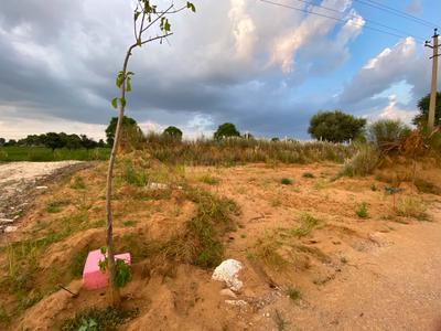 Image of 875 Sq.ft Residential Plot / Land for sale in Khatu, Sikar for Rs. 1746000