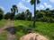 Diamond Park, Joka Plot View 2