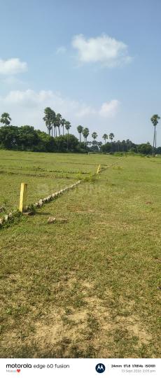 Bihta Main Image 1