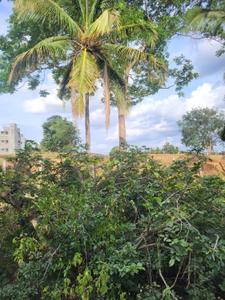 Image of 1200 Sq.ft Residential Plot / Land for sale in Kurubarahalli, Bengaluru for Rs. 6500000