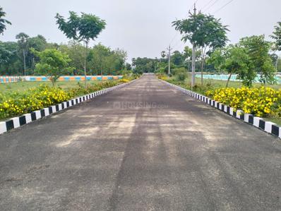 Thagarapuvalasa Plot View 2