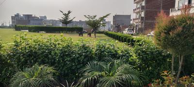 Parkland Plot View 2