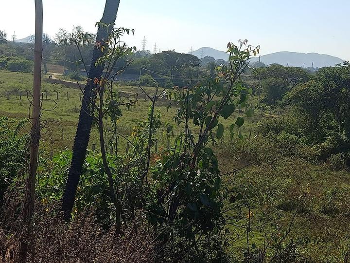 Hosakote Main Image 1