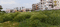 Argora Main Image 1