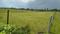 UTHIRAMERUR Main Image 1
