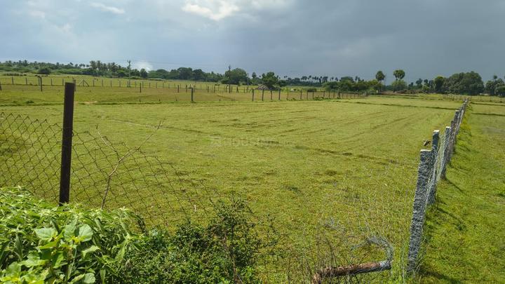UTHIRAMERUR Main Image 1