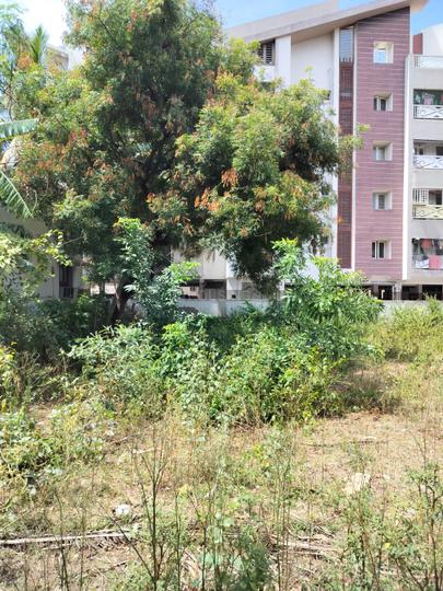 Yasri Living Main Image 1