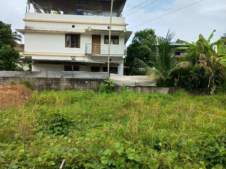 Thrippunithura Main Image 1