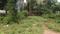 PLATINUM AVENUE Main Image 1