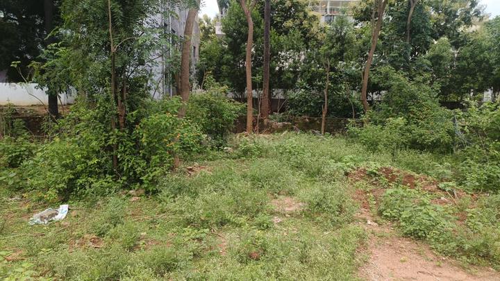 PLATINUM AVENUE Main Image 1