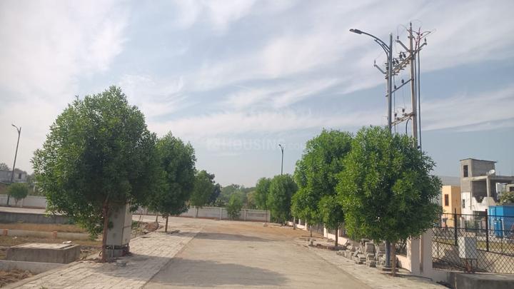 Mauli Crystal 35 Main Image 1