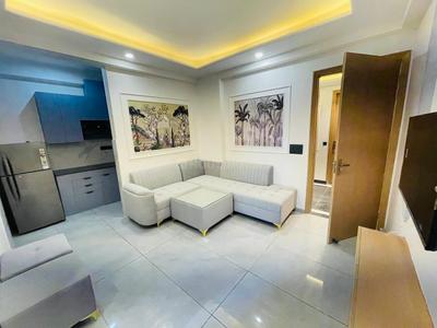 Hall Image of 1349 Sq.ft 1 BHK Builder Floor for rent in DLF Phase 3 Gurgaon for Rs. 38000