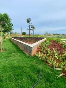 Shriram Eden 144 Plot View 3