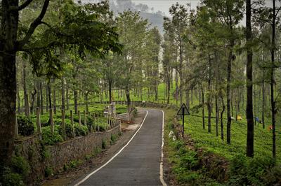 Image of 9147 Sq.ft Residential Plot / Land for sale in Kotagiri, Ooty for Rs. 6195000